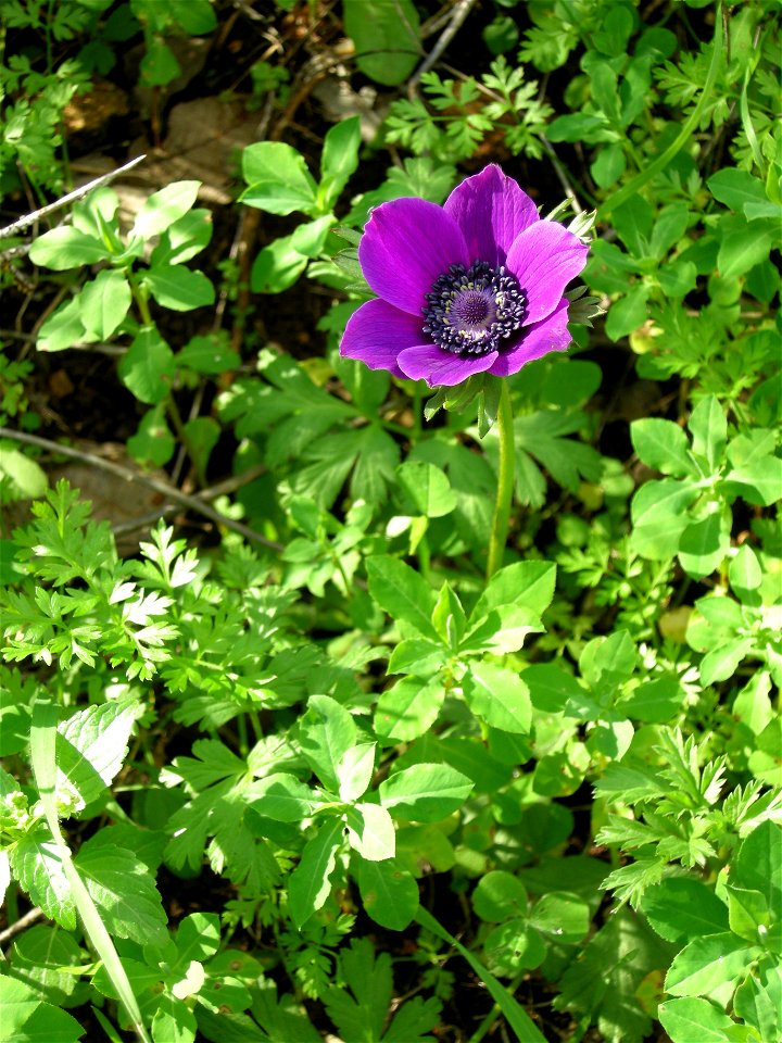 Photos taken near Bethlehem of Galilee