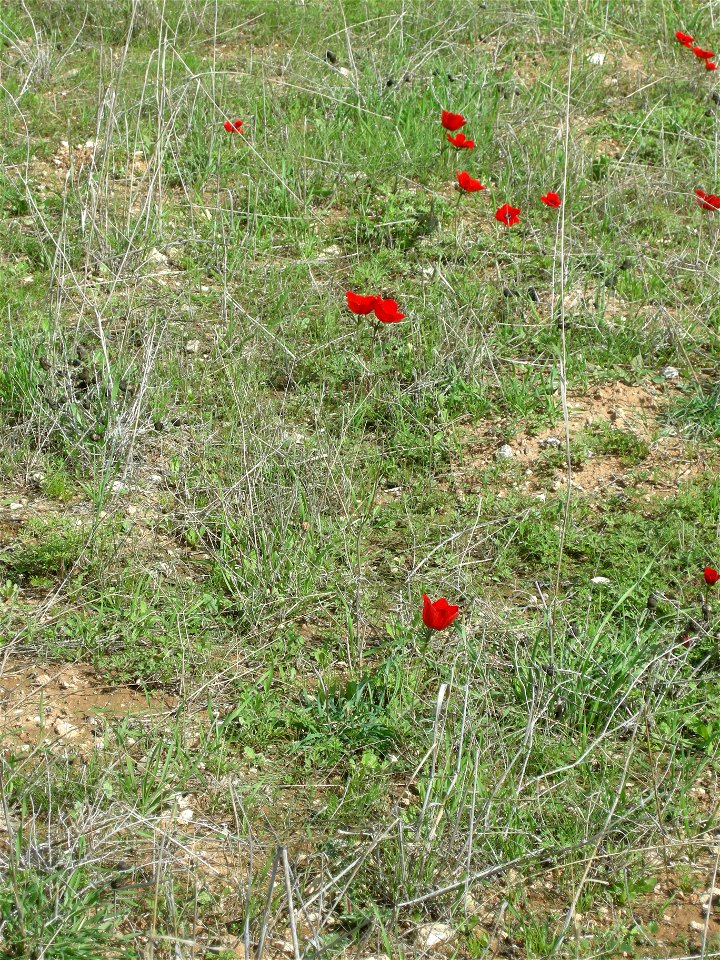 Photos of Nature reserve Pura