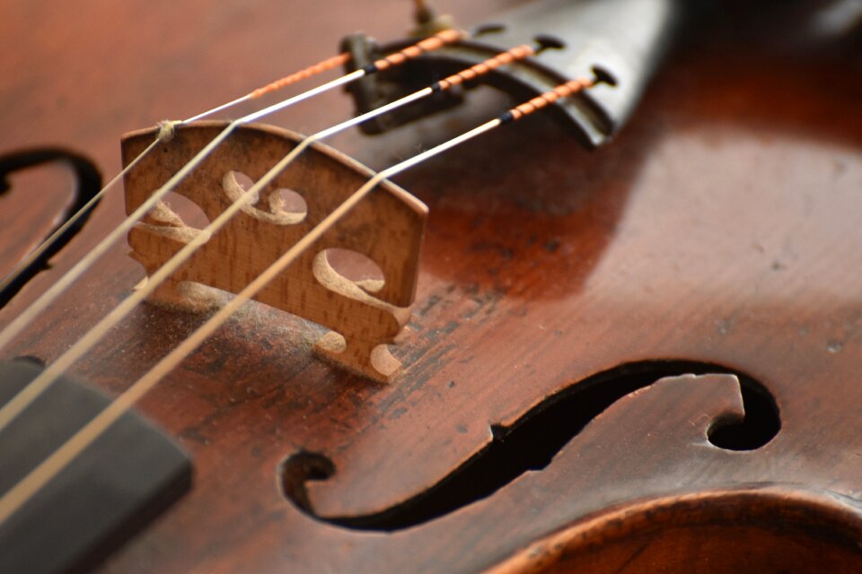 Musical instrument music instrument