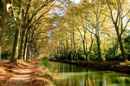 Autumn hautegaronne landscape