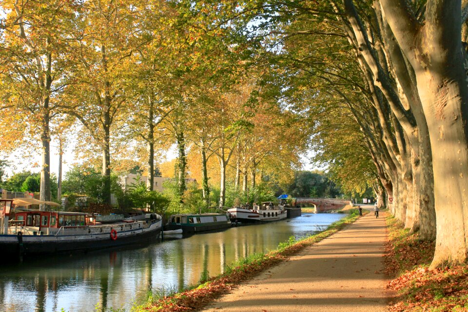 Autumn hautegaronne landscape