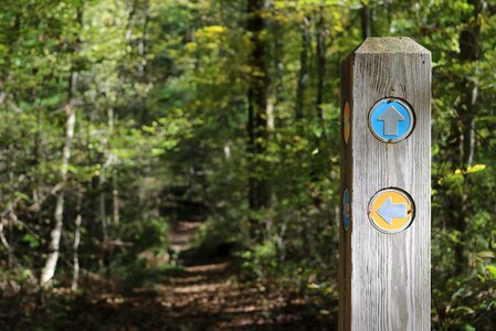 Way marker forest woods