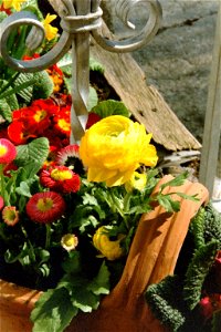 Motiv: Schmiedeeisernes Ziergeländer mit Zierblumen und rohgebrannten Keramiktopf. Foto: Julica da Costa