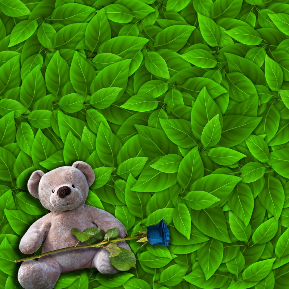 Teddy bear tender green leaves