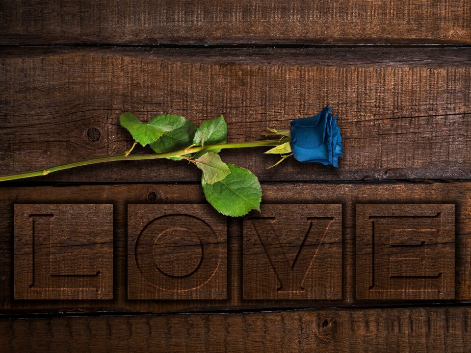 Wood flower feelings