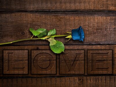 Wood flower feelings