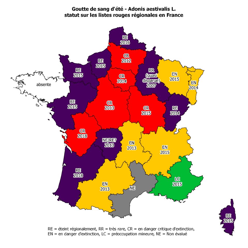 Carte de France présentant le statut de la Goutte de sang d'été (Adonis aestivalis L.) sur les listes rouges régionales de la flore vasculaire. Source de l'information : INPN et listes rouges res