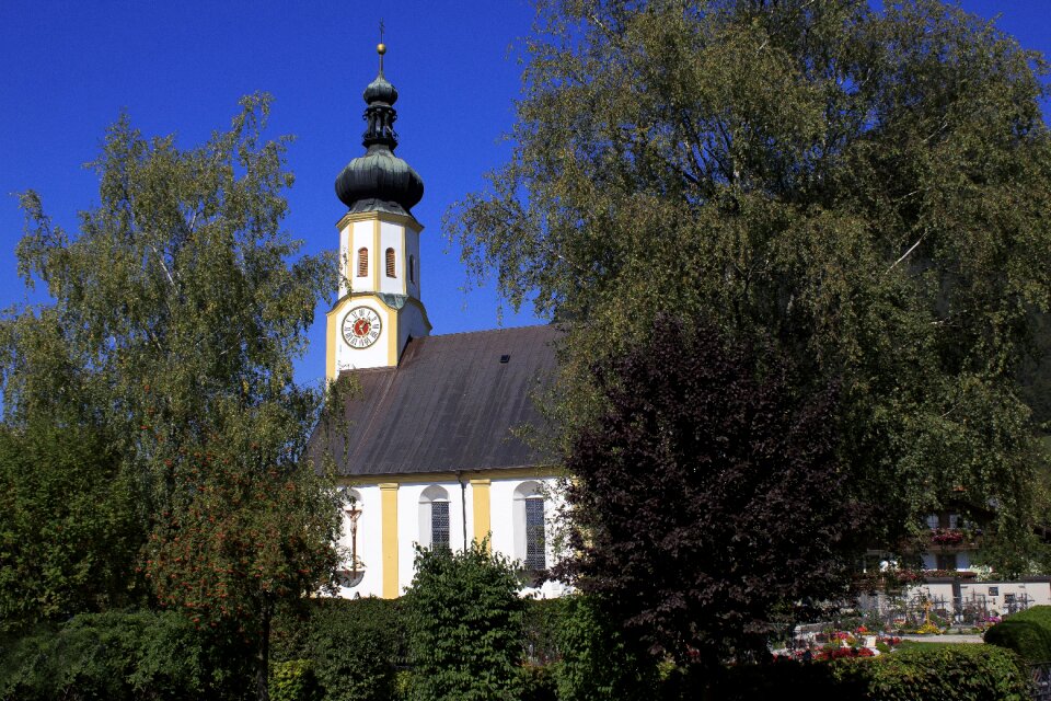 Building trees christianity