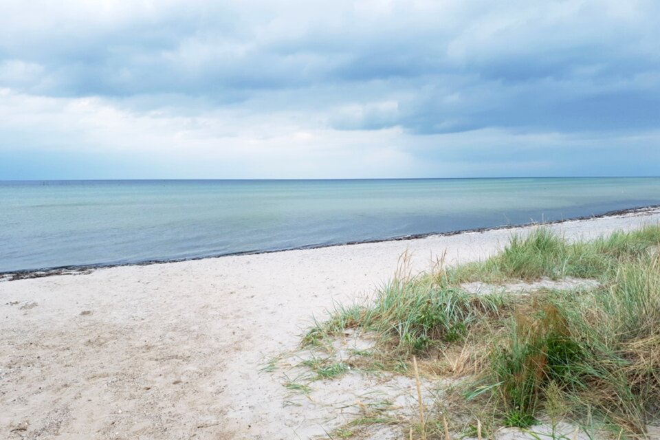 Sea summer nature