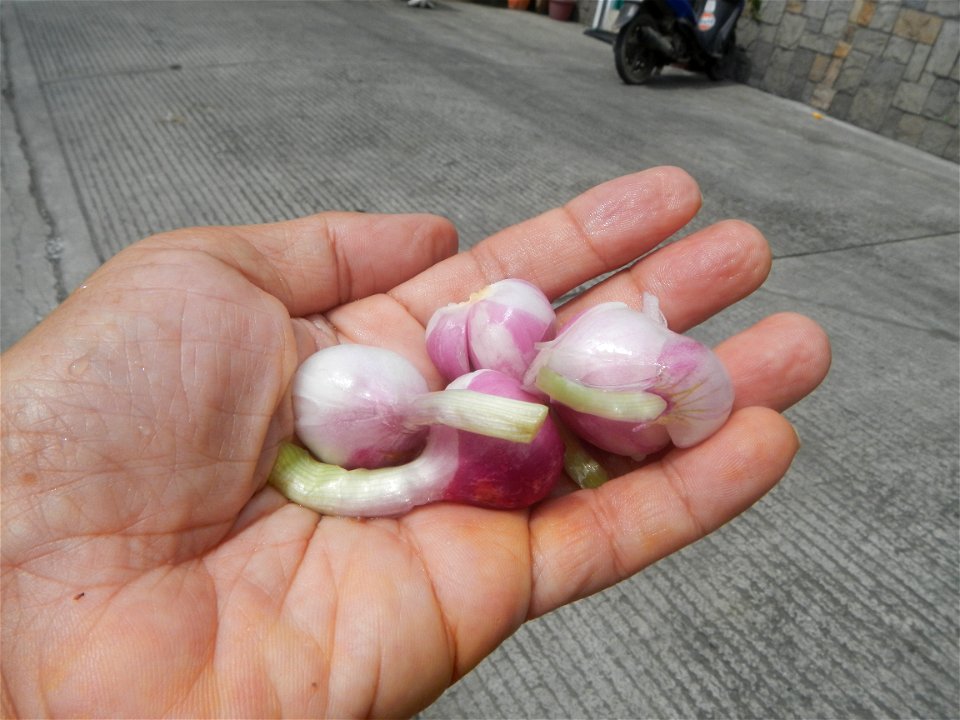Cuisine food of Bulacan