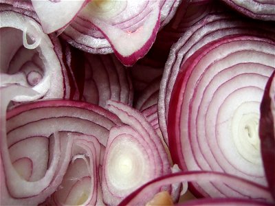 Rings of red onions, closeup. photo