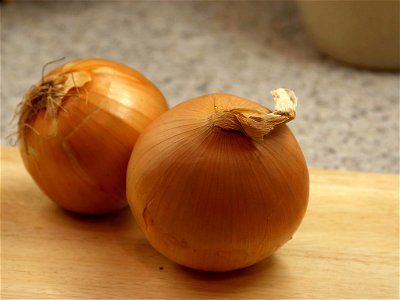 Yellow onions (Allium cepa) photo