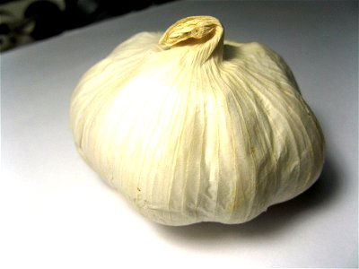 Image title: Garlic plant allium sativum Image from Public domain images website, http://www.public-domain-image.com/full-image/flora-plants-public-domain-images-pictures/vegetables-public-domain-imag photo