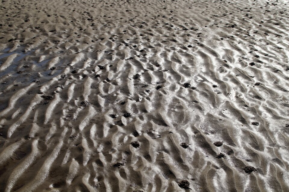 Coast wadden sea tides