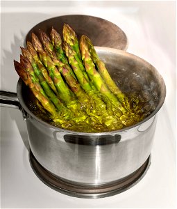 Steam-boiling green asparagus (Asparagus officinalis) in a stainless steel pot in Lysekil, Sweden. By not submerging the whole asparagus, the tender tops of the shoots will only be steamed and retain photo