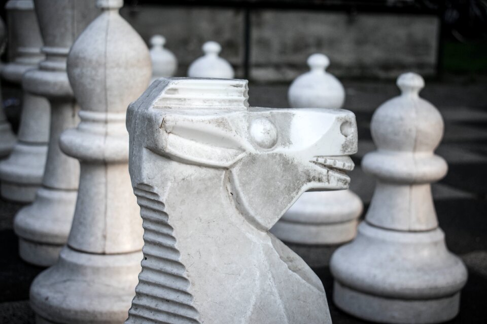 Springer chess board chess pieces