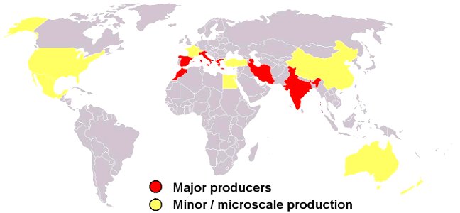 Saffron-producing countries: red=major; yellow=minor. Author: myself. photo