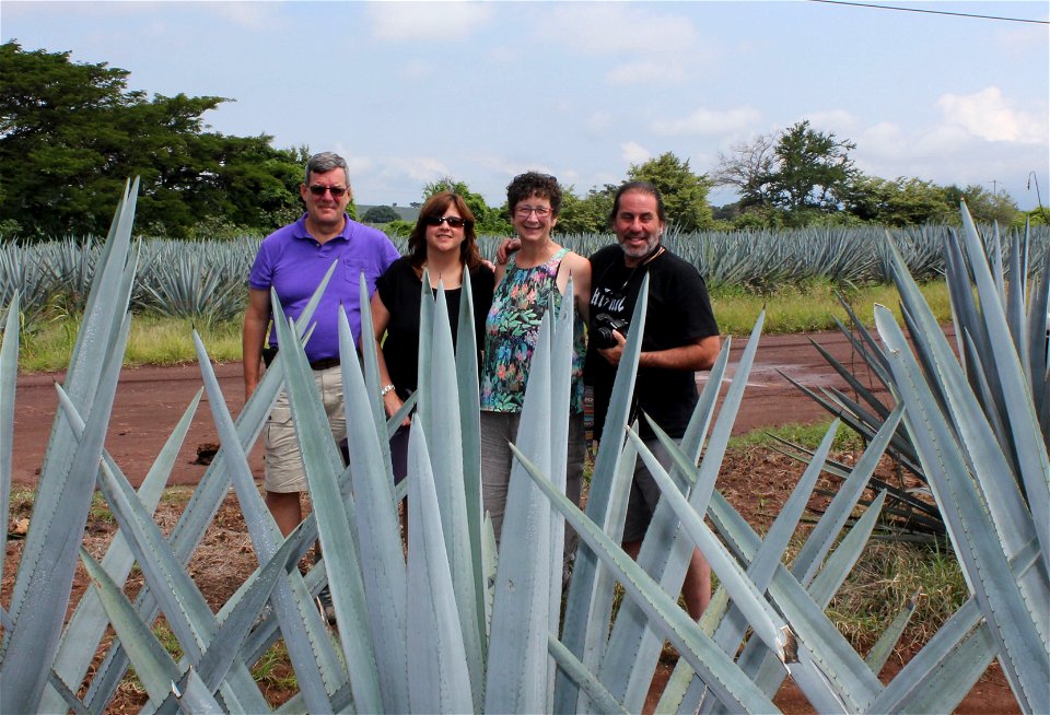 Guadalajara_July_2015
