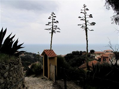 Stations of the Cross on the Rosary path for access to the monastery of the Annonciade (Alpes-Maritimes, France) photo
