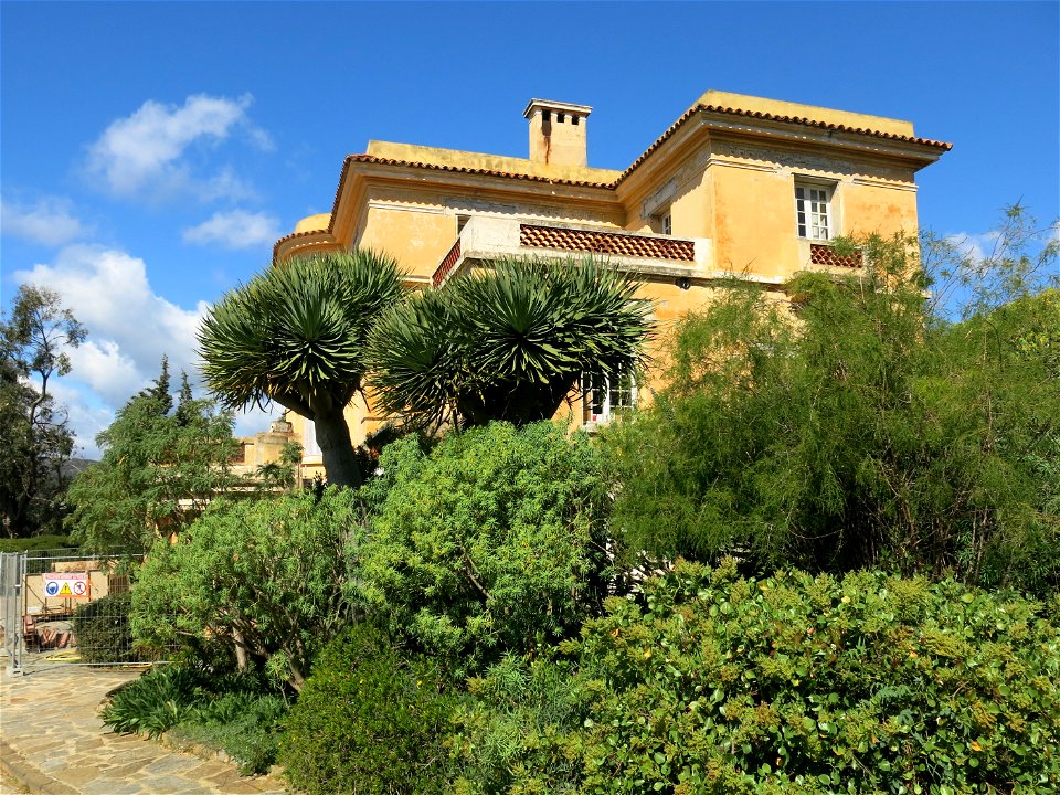 Hôtel de la mer of the domaine du Rayol and dragon trees of the canarian garden. Rayol-Canadel-sur-Mer (Var, France).