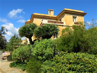 Hôtel de la mer of the domaine du Rayol and dragon trees of the canarian garden. Rayol-Canadel-sur-Mer (Var, France).