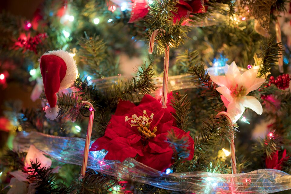 Xmas december seasonal
