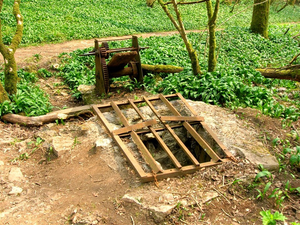 Entrance to Longwood Valley Sink (Longwood Swallet), a karst cave in the Mendip Hills in Somerset, England