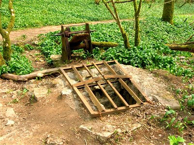 Entrance to Longwood Valley Sink (Longwood Swallet), a karst cave in the Mendip Hills in Somerset, England