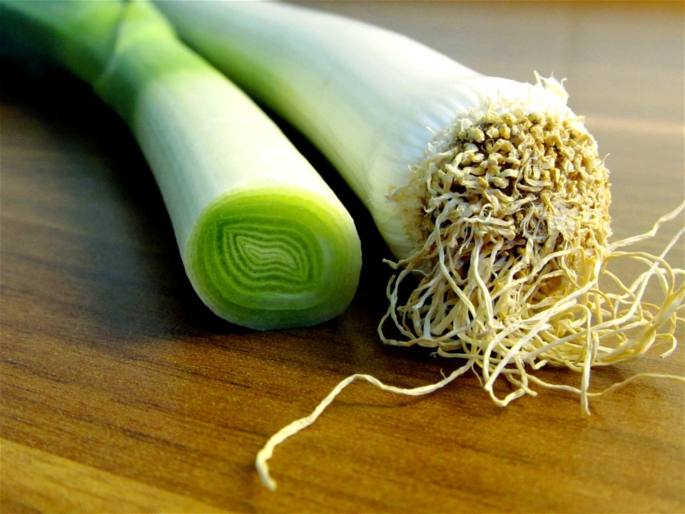 Leek section and root base