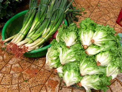 Poireaux et choux au marché photo