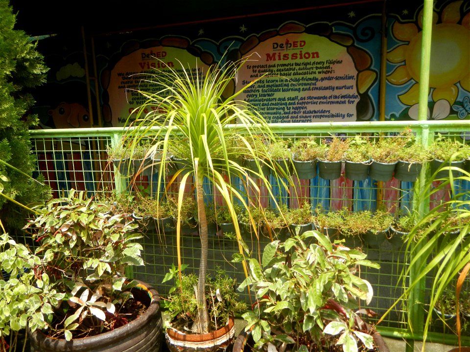 Poblacion, Baliuag, Bulacan Timeline of the 2020 coronavirus pandemic in the Philippines  2020 coronavirus pandemic in the Philippines Bayanihan to Heal as One Act (RA 11469) Bayanihan Act of 2020. Si