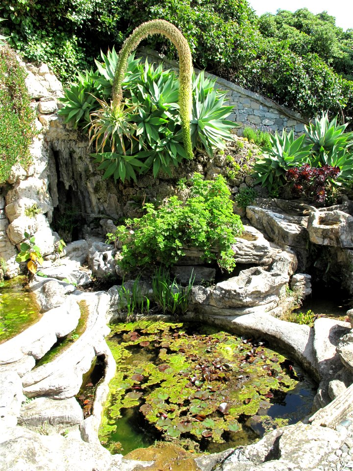 The Fontana Nirvana with Agave attenuata in the gardens of the Villa Hanbury, Ventimiglia, Italy.