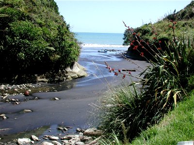 Stream at Pukearuhe, towards sea. photo