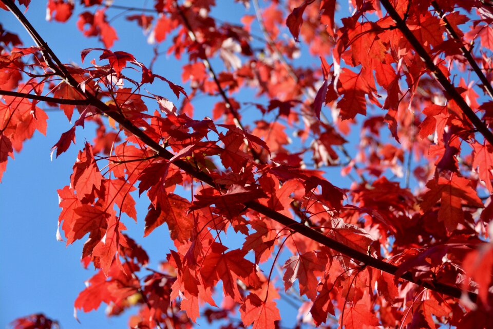 Blue sky sun color