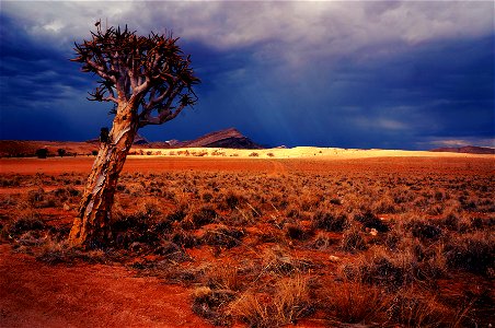 Sossusvlei, Namibia photo