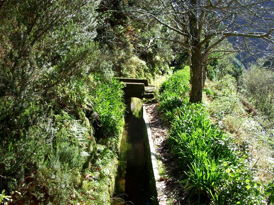 Levada Nova do Norte: a small stream (now dry) crosses the levada. Lots of Agapanthus.