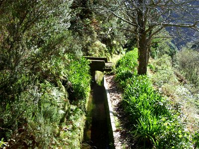 Levada Nova do Norte: a small stream (now dry) crosses the levada. Lots of Agapanthus.