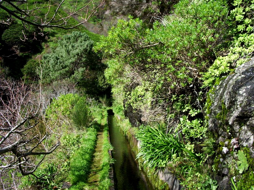 Levada Nova do Norte: pleasant walk