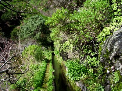 Levada Nova do Norte: pleasant walk