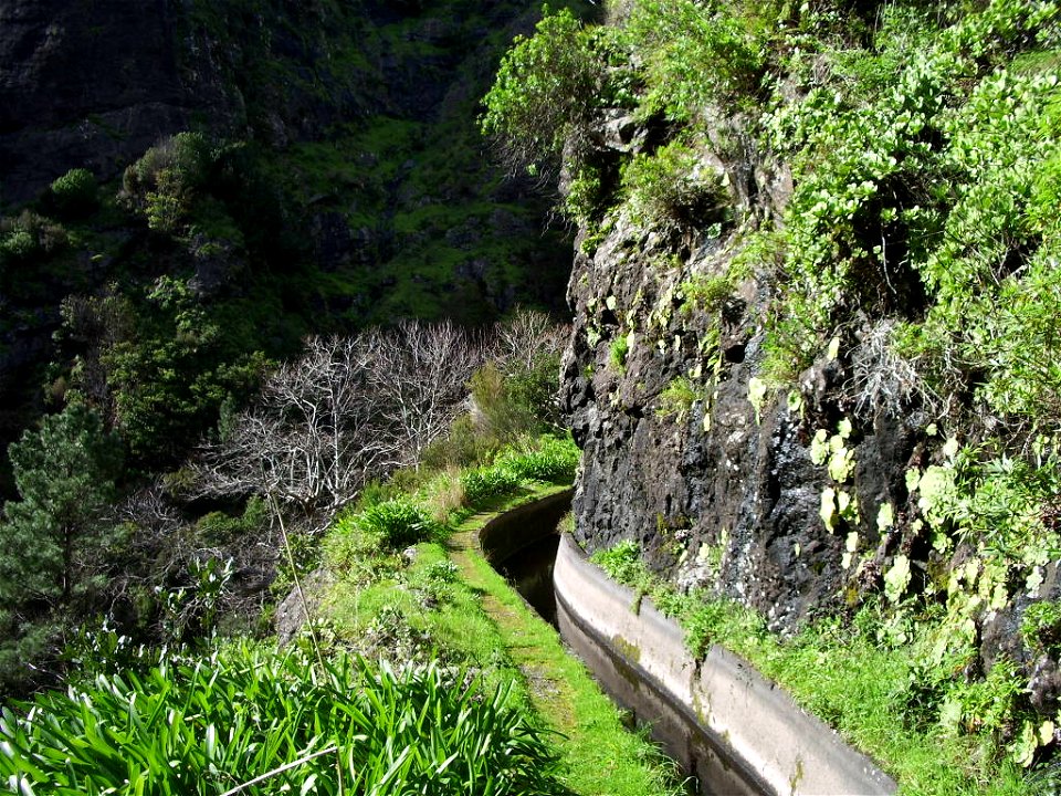 Levada Nova do Norte: another turn