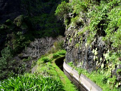 Levada Nova do Norte: another turn