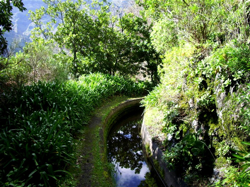 Levada Nova do Norte: another smooth turn