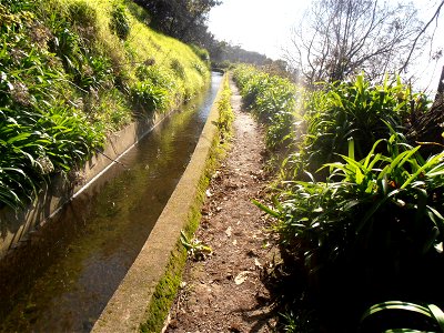 Levada dos Tornos