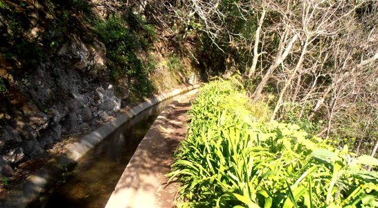 Levada dos Tornos