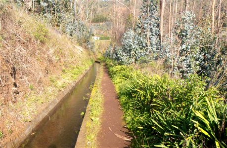 Levada dos Tornos