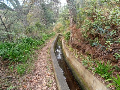 Levada dos Tornos
