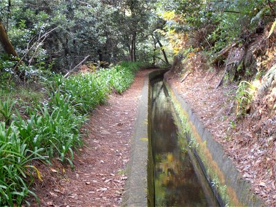 Levada dos Tornos