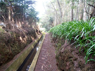 Levada dos Tornos