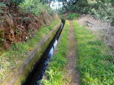 Levada dos Tornos