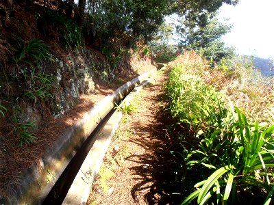 Levada dos Tornos